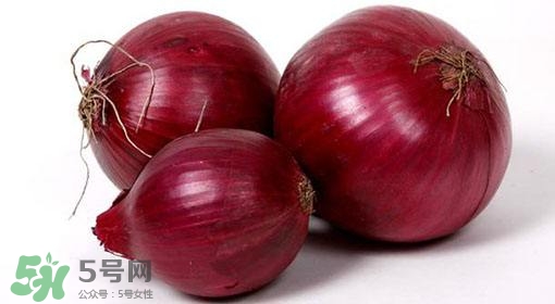 洋蔥狗狗能吃嗎？狗狗吃了洋蔥怎么辦？