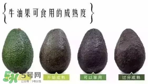 牛油果是什么味道？牛油果是甜的嗎？