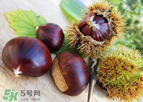 泡板栗酒用什么酒最好？板栗用什么酒泡最好？