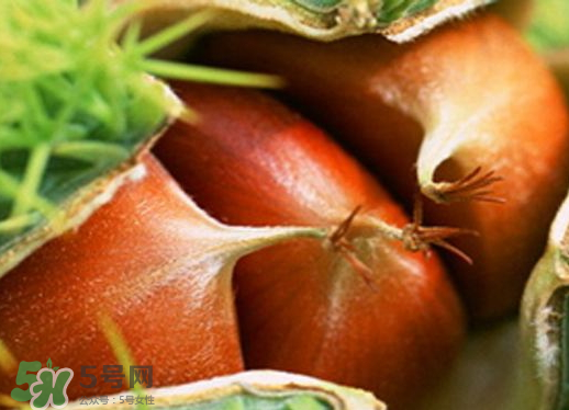 板栗泡酒要去皮嗎？板栗泡酒不去皮可以嗎？