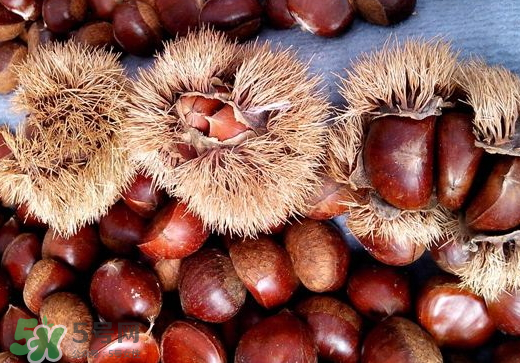 板栗泡酒要去皮嗎？板栗泡酒不去皮可以嗎？