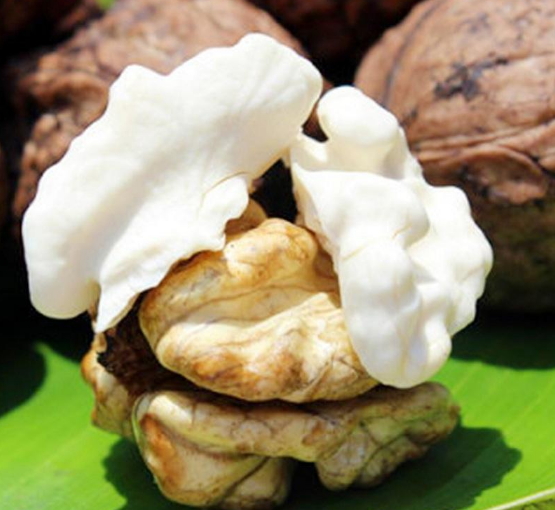 濕核桃孕婦可以吃嗎？孕婦吃新鮮濕核桃還是干核桃好？