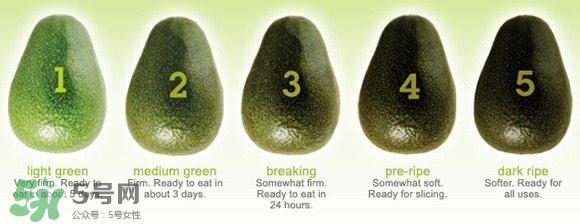 牛油果隔夜了還能吃嗎？牛油果可以冷凍保存嗎？