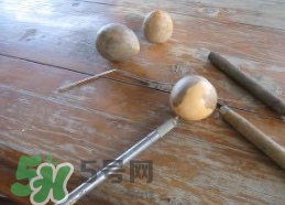 牛油果核能吃嗎？牛油果核怎么種盆栽？