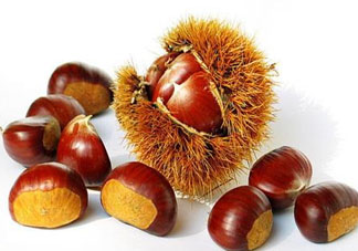 板栗為什么容易生蟲(chóng)？板栗長(zhǎng)蟲(chóng)怎么辦？