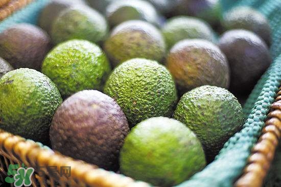 牛油果是熱性還是寒性？牛油果是酸性還是堿性？