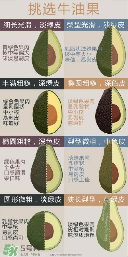 牛油果怎么挑選？牛油果多少錢(qián)一斤？