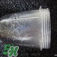 核桃粉怎么做？核桃粉的功效與作用