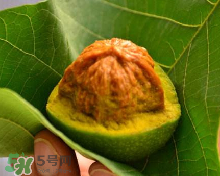 青皮核桃可以冷凍嗎？青皮核桃可以冷藏嗎？