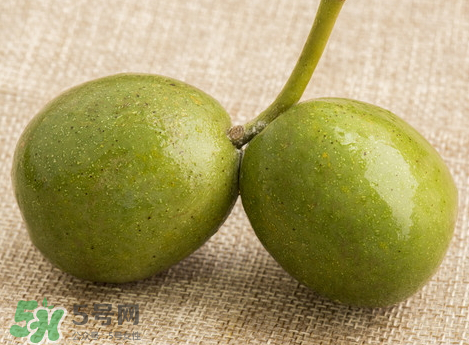 青皮核桃可以放冰箱嗎 青皮核桃能放多久 青皮核桃可以放冰箱嗎 青皮核桃能放多久