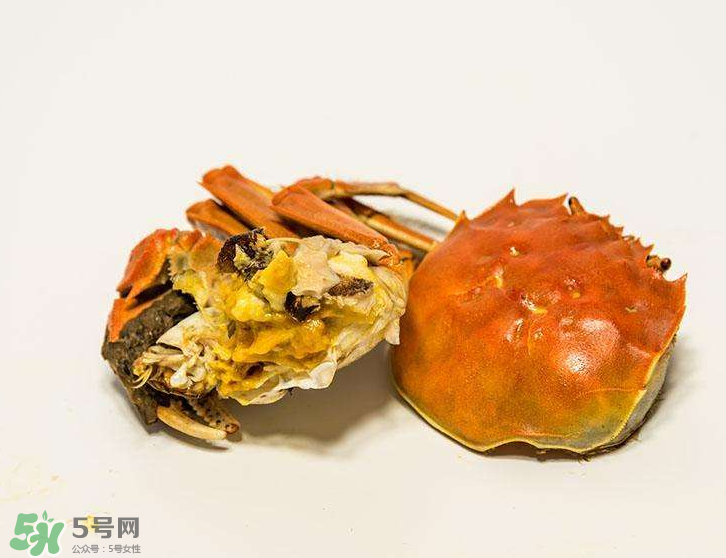哪種螃蟹有蟹黃？哪種螃蟹蟹黃最多？