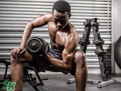 肌酸是什么東西？肌酸是興奮劑嗎？