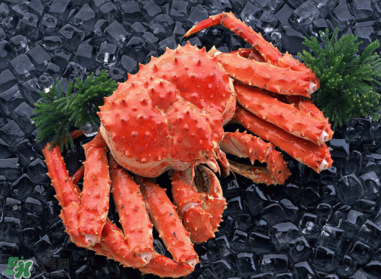 哪種螃蟹便宜？哪種螃蟹最貴？