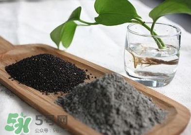 核桃粉寶寶可以吃嗎？寶寶幾個月可以吃？