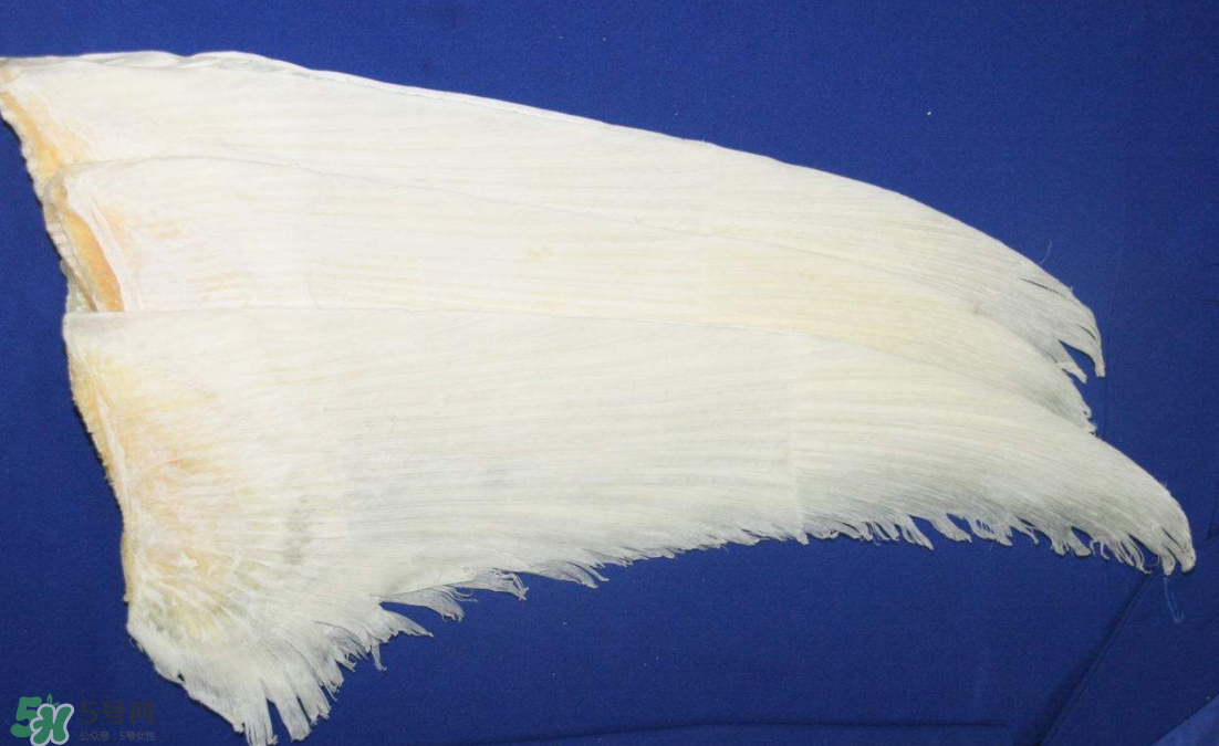 魚翅卡喉嚨了怎么辦？魚翅卡喉嚨的自救法