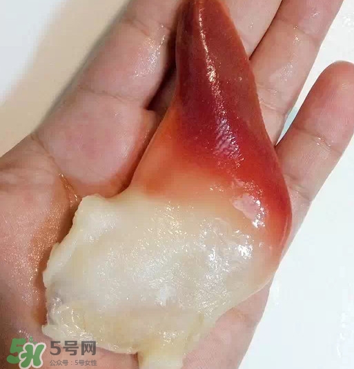 北極貝多少錢(qián)一斤？北極貝長(zhǎng)什么樣子