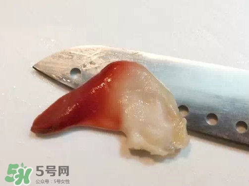 北極貝多少錢(qián)一斤？北極貝長(zhǎng)什么樣子