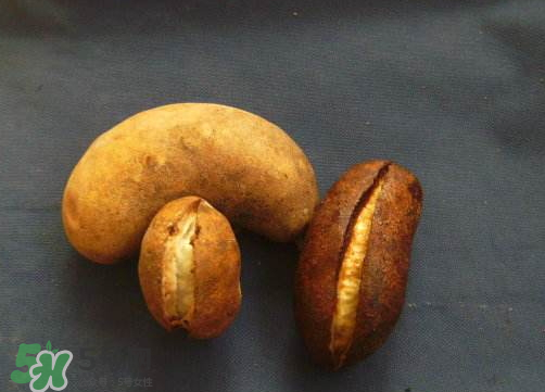 八月炸怎么保存 八月炸怎么催熟 八月炸怎么保存 八月炸怎么催熟