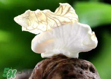 新鮮核桃要剝皮嗎？剝皮時手變黑怎么清洗？