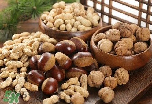 孕婦可以喝核桃粉嗎？孕婦喝核桃粉好嗎？