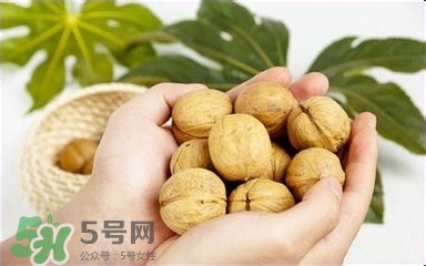 核桃怎么挑選好壞？怎么辨別核桃的好壞？