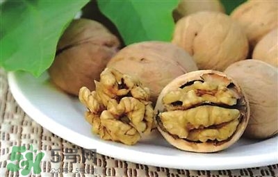 核桃分心木可以煲湯嗎？核桃分心木可以和枸杞泡水嗎？