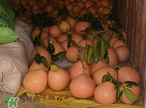 三紅蜜柚幾年結(jié)果？種三紅蜜柚好還是紅肉蜜柚好？