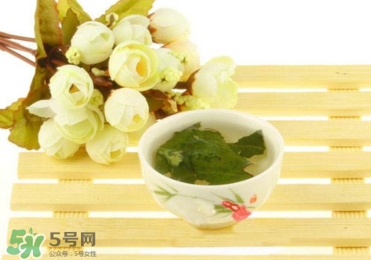 柿子葉能直接泡水喝嗎 柿子葉泡水喝能治胃病嗎 柿子葉能直接泡水喝嗎 柿子葉泡水喝能治胃病嗎