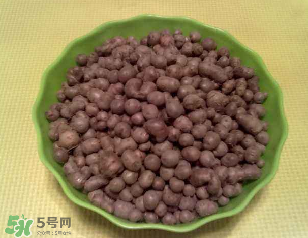 山藥豆是什么東西？山藥豆是長在土里嗎？