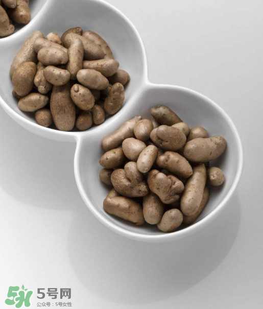 山藥豆是怎么長出來的？山藥豆是山藥的種子嗎？