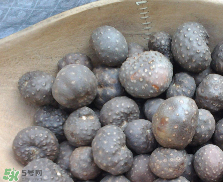 山藥豆是怎么長出來的？山藥豆是山藥的種子嗎？