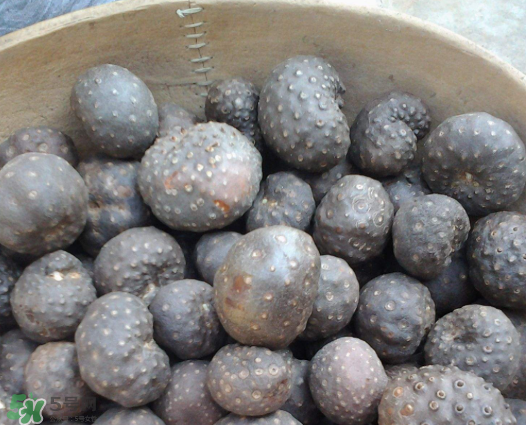 山藥豆能生吃嗎？山藥豆能帶皮吃嗎？