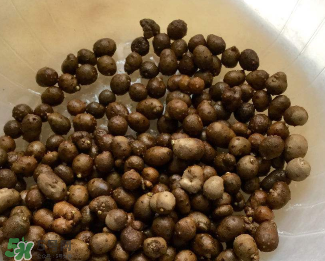 山藥豆能生吃嗎？山藥豆能帶皮吃嗎？