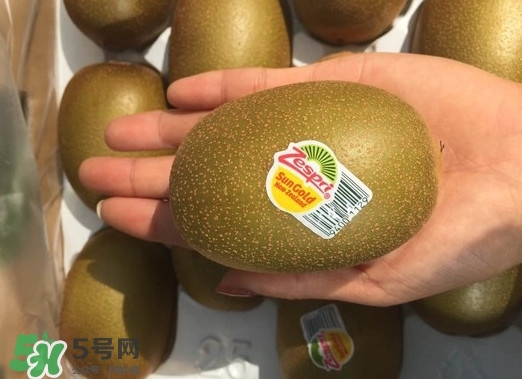 黃心獼猴桃叫什么名字？黃心獼猴桃是什么品種