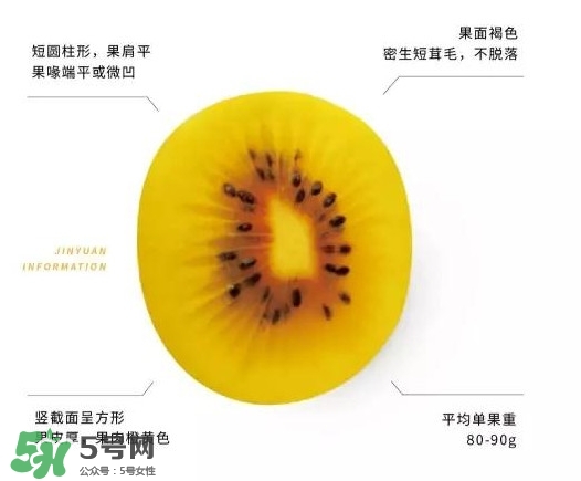 黃心獼猴桃叫什么名字？黃心獼猴桃是什么品種