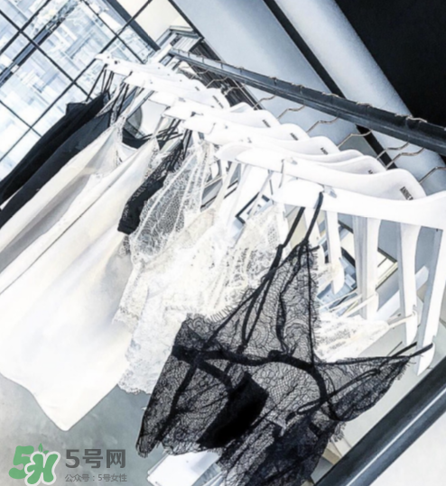 anine bing是什么牌子？anine bing是什么檔次？