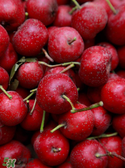 山楂和什么泡水喝好？山楂泡水最佳搭配