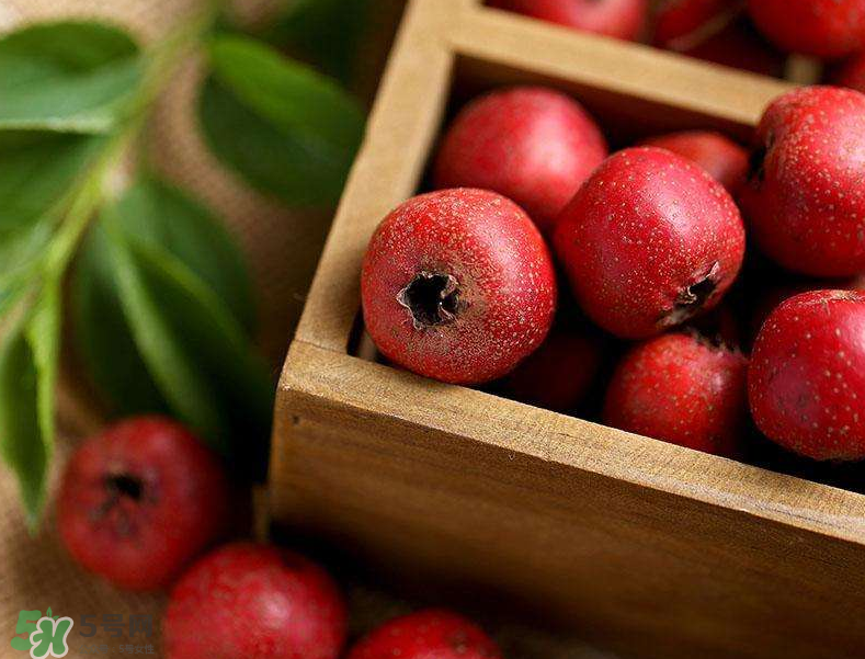 山楂和枸杞能一起泡水喝嗎？