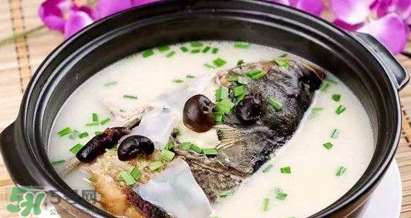 怎樣吃魚最有營養(yǎng)？喝魚湯會致高脂血癥嗎？