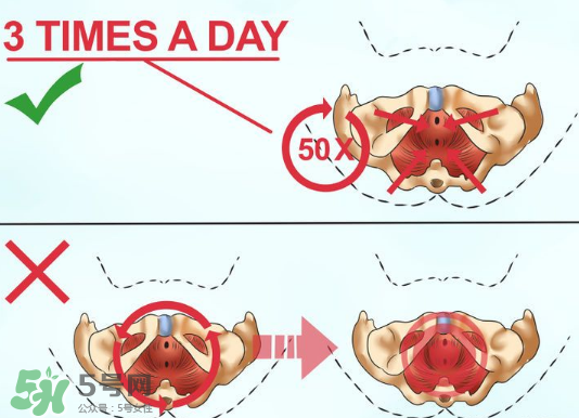 鍛煉pc肌真的有用嗎？練pc肌可以增長性愛時(shí)間嗎？