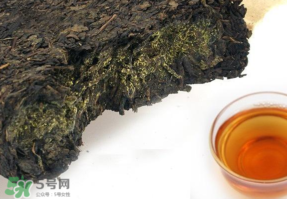 茯茶是熱性還是涼性？茯茶是不是放越久越好？