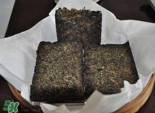 茯茶是熱性還是涼性？茯茶是不是放越久越好？