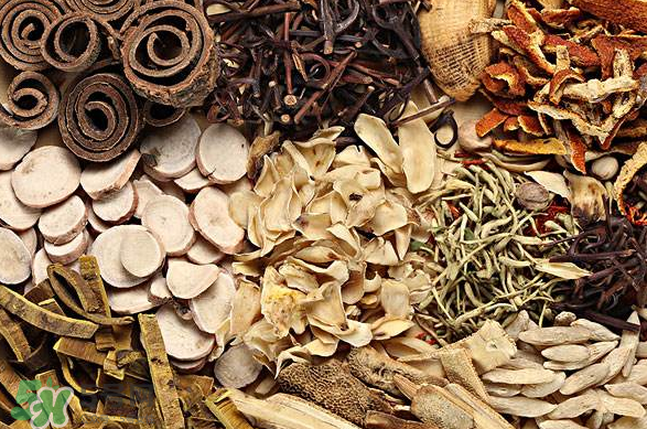 清熱降火的中藥有哪些？清熱降火的中藥大全