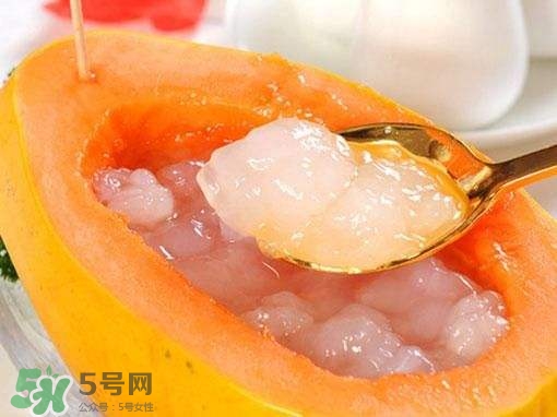 如何分辨雪蛤真假？挑雪蛤的方法