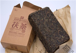 茯茶是什么茶？茯茶是黑茶嗎？