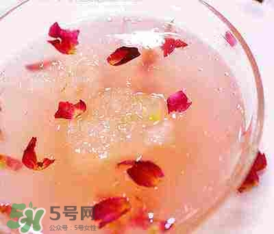 雪蛤是涼性的嗎？雪蛤是保護動物嗎？