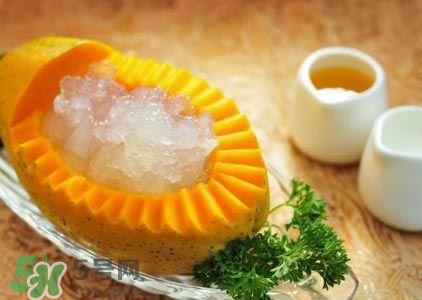 雪蛤膏是啥？雪蛤膏的功效與作用