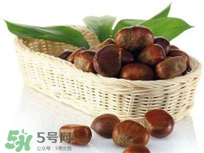 板栗酒能治療腎陽虛嗎？板栗泡酒真的能壯陽嗎？