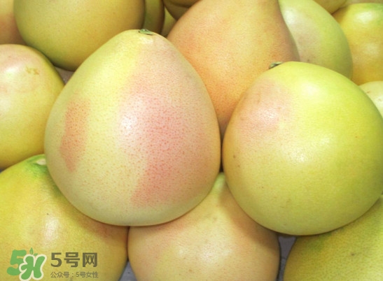 三紅蜜柚什么時候種植？三紅蜜柚什么時候成熟