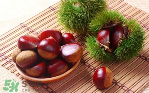 板栗酒能治療腎陽虛嗎？板栗泡酒真的能壯陽嗎？